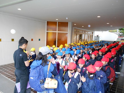 ３年生　葛西臨海水族館