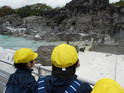 ３年生　葛西臨海水族館