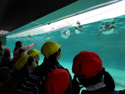 ３年生　葛西臨海水族館