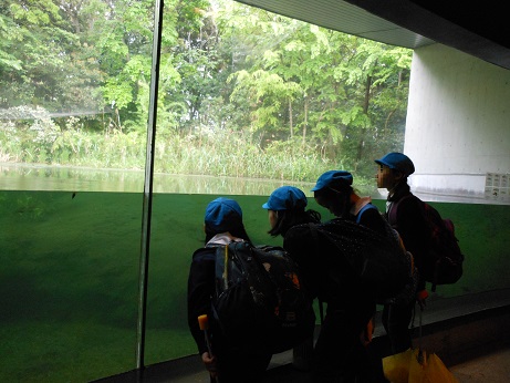 ４年生　葛西臨海水族館