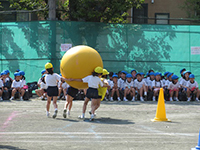 2年生「大玉はこび」